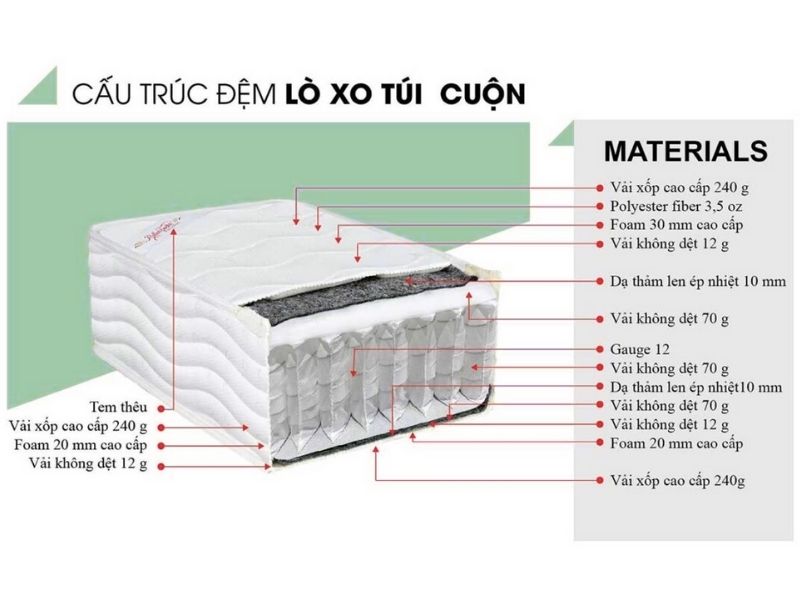 Cấu trúc hình thành đệm lò xo cuộn Trend