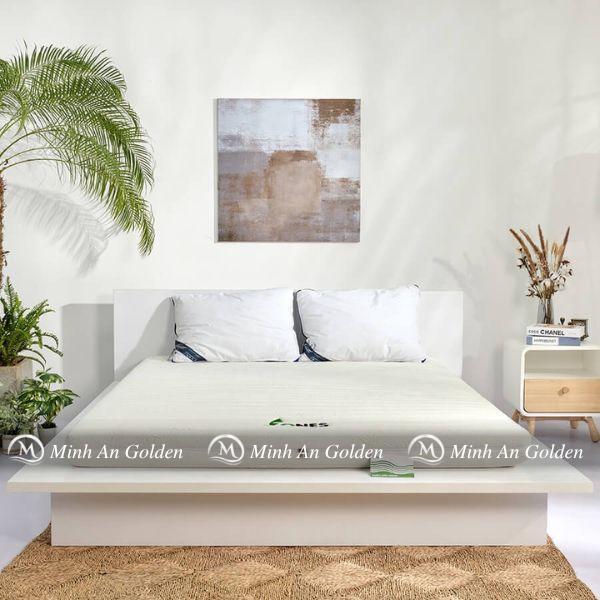 Đệm cao su Gummi 7 Zones