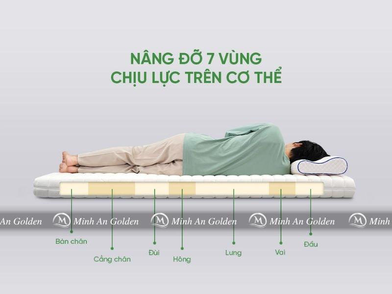 Đệm cao su Gummi 7 Zones