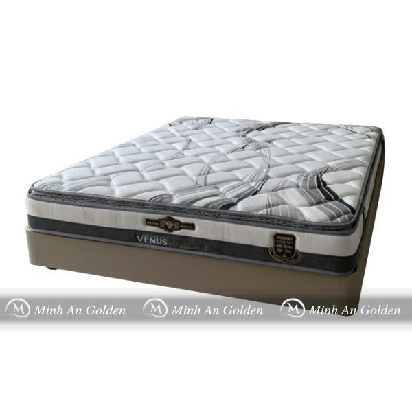 đệm lò xo túi Venus Promax