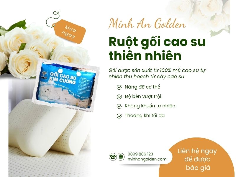 Minh An Golden cung cấp gối cao su thiên nhiên chính hãng