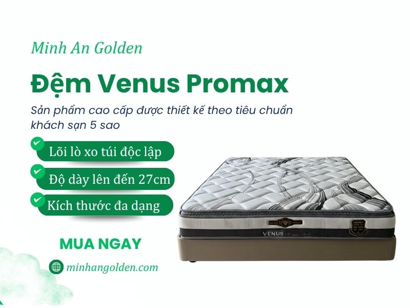 Minh An Golden đơn vị độc quyền trong phân phối đệm Venus Promax