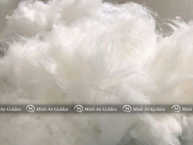Microfiber mang lại độ êm, nhẹ và khả năng đàn hồi vượt trội