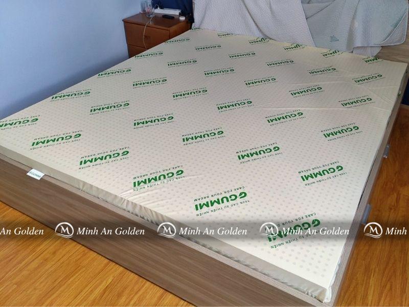 Ảnh toàn cảnh nệm Gummi với cấu trúc hỗ trợ 7 vùng