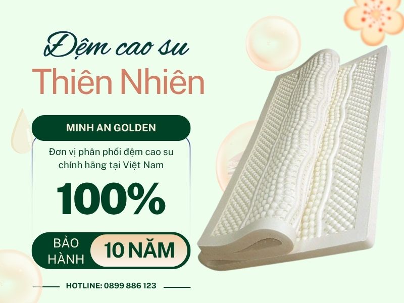Minh An Golden - Đơn vị cung cấp nệm cao su chính hãng