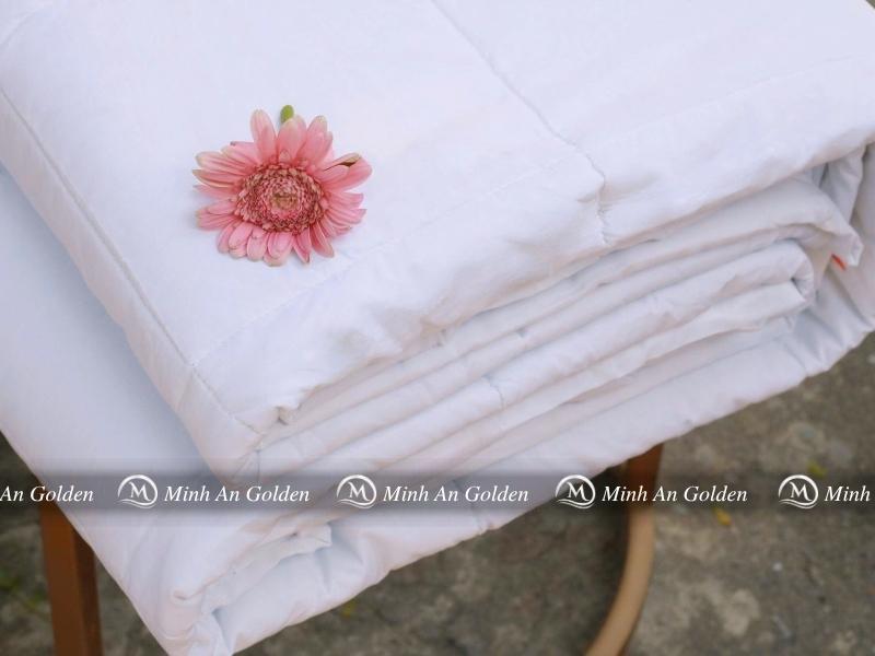 Giới thiệu ruột chăn gòn Luxury