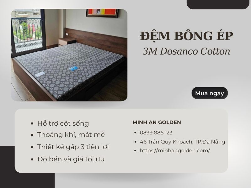 Mua đệm bông ép 3M Dosanco chính hãng tại Minh An Golden